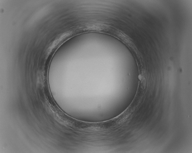 X0000055990578200509021641