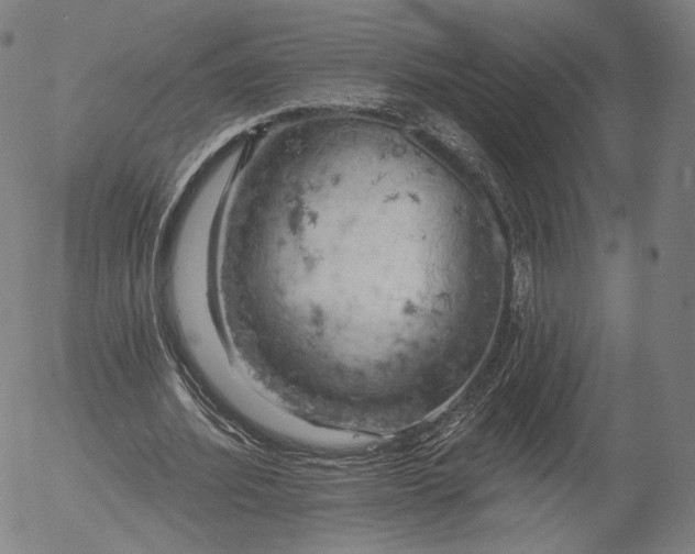 X0000055990580200509021640