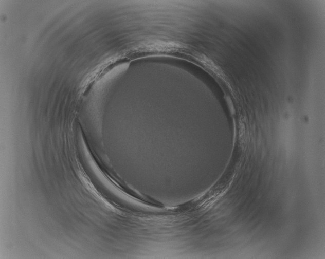 X0000055990581200509021640