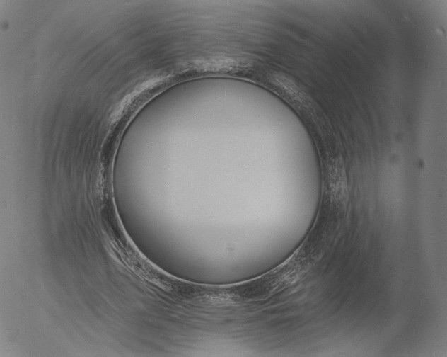 X0000055990583200509021640