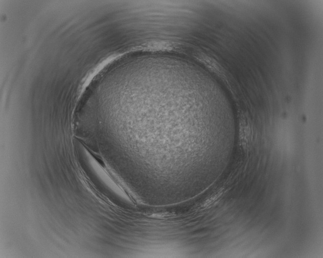 X0000055990584200509021640