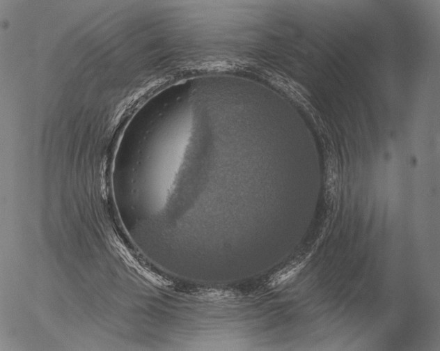 X0000055990585200509021640