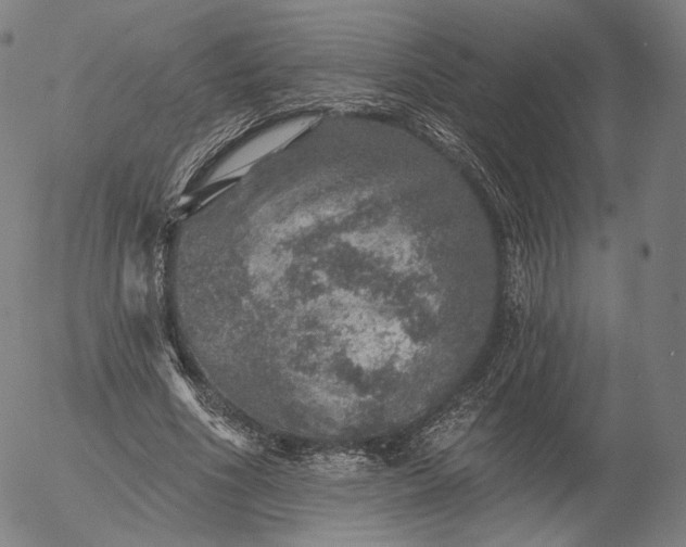 X0000055990586200509021640