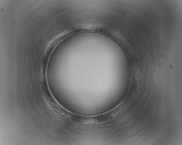 X0000055990587200509021640