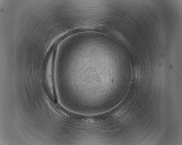 X0000055990588200509021640