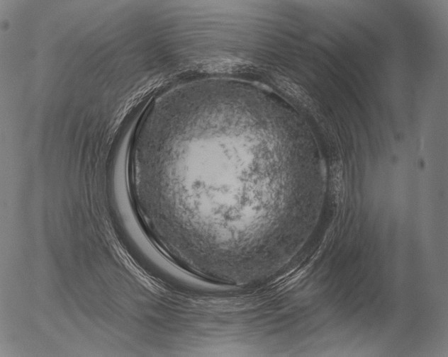 X0000055990589200509021640