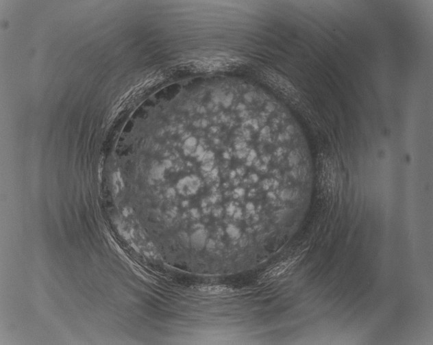 X0000055990590200509021640