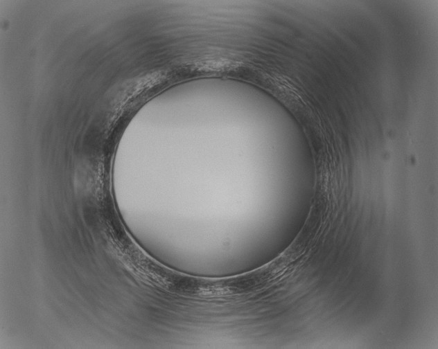 X0000055990591200509021640