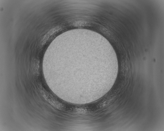 X0000055990592200509021640