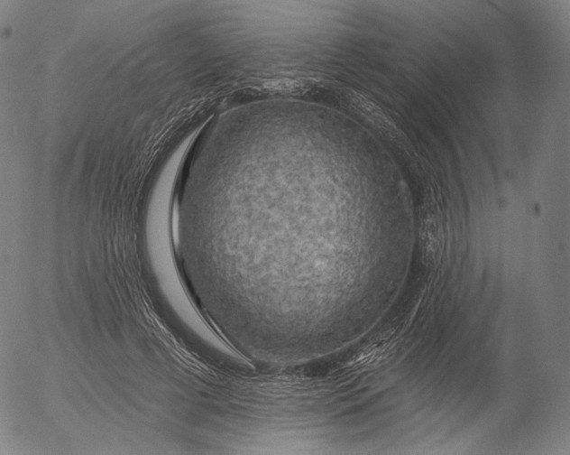 X0000055990593200509021640