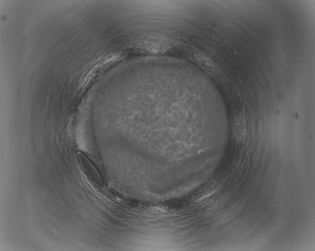 X0000055990594200509021640