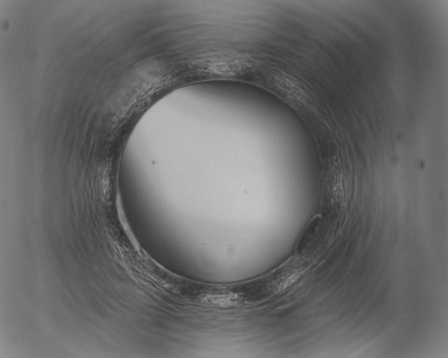 X0000055990595200509021640