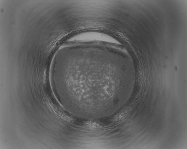 X0000055990596200509021640