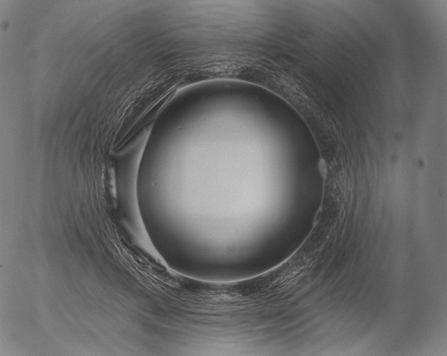 X0000055990597200509021640