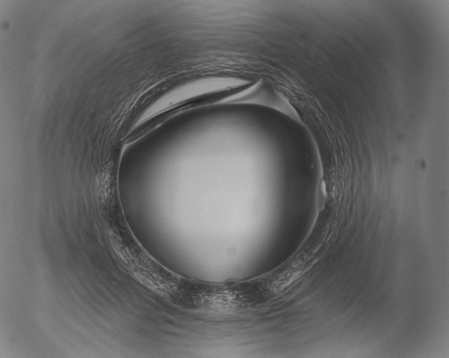 X0000055990600200509021640