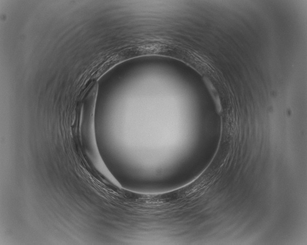 X0000055990601200509021640