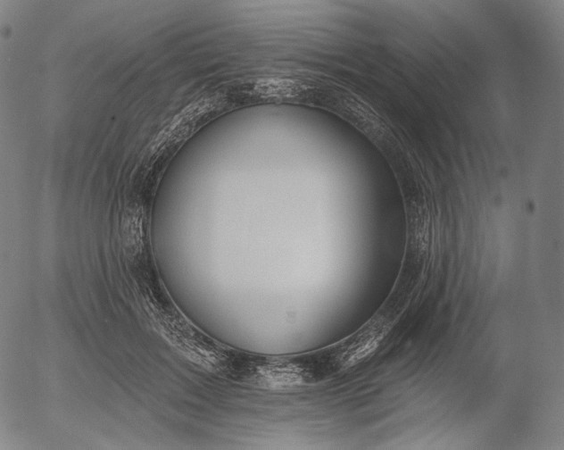 X0000055990603200509021640