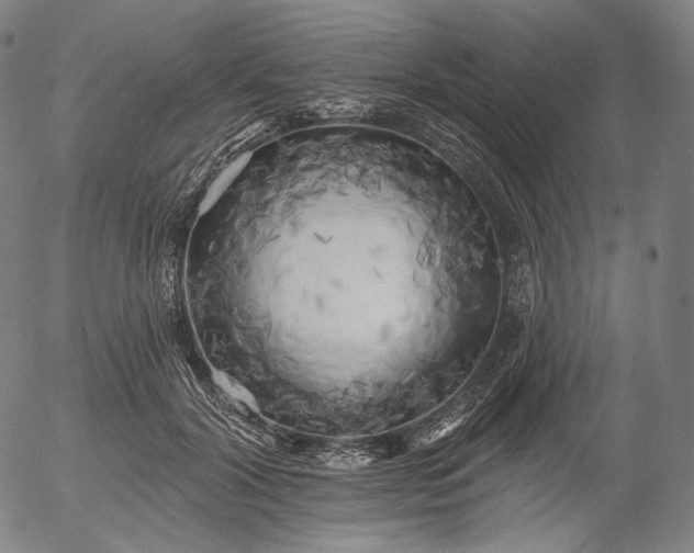 X0000055990604200509021640