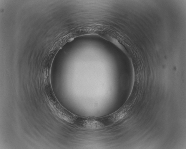 X0000055990605200509021640