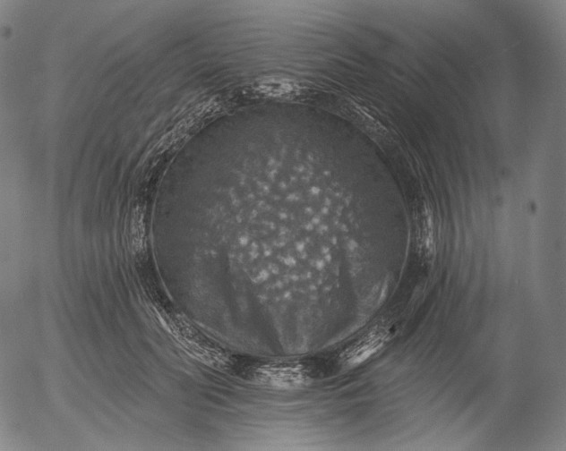 X0000055990606200509021640