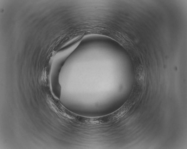 X0000055990607200509021640