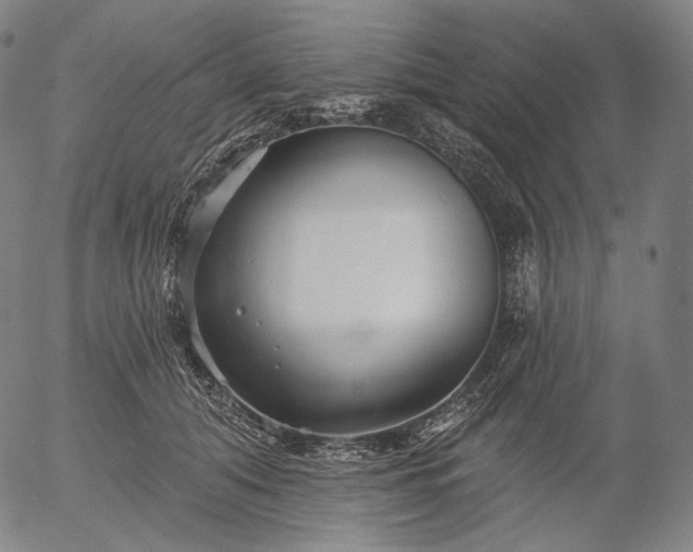 X0000055990608200509021640