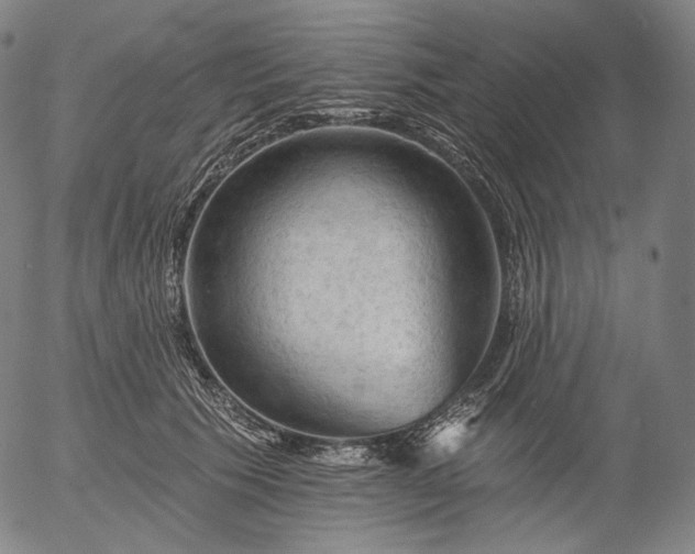 X0000055990609200509021640