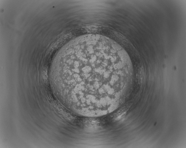 X0000055990610200509021640