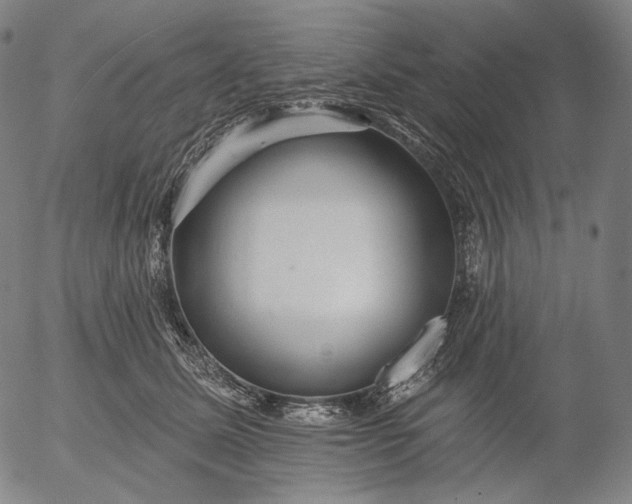 X0000055990611200509021640