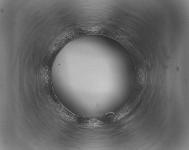 X0000055990612200509021640