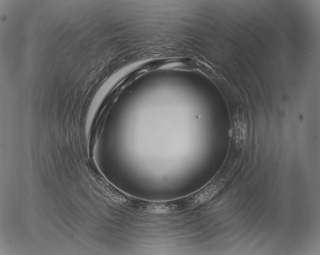 X0000055990613200509021640