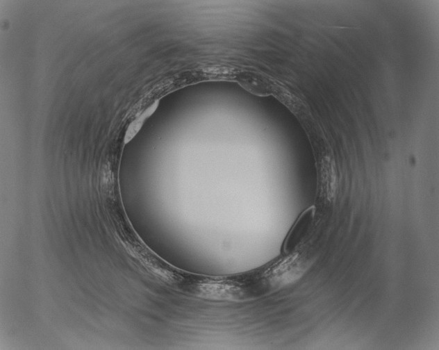 X0000055990614200509021640