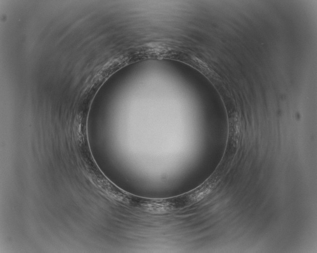 X0000055990615200509021640