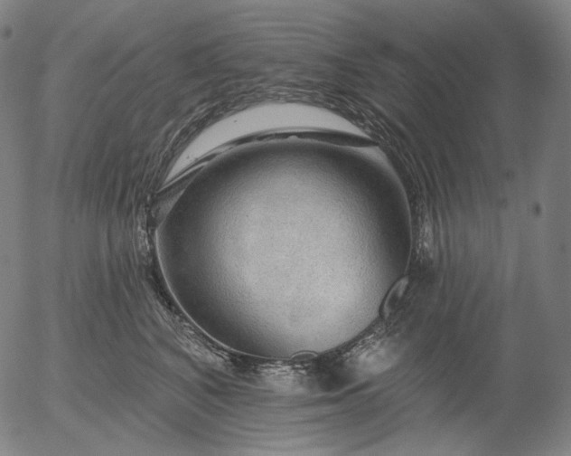 X0000055990616200509021640