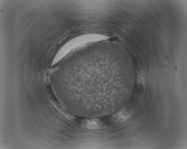 X0000055990618200509021640