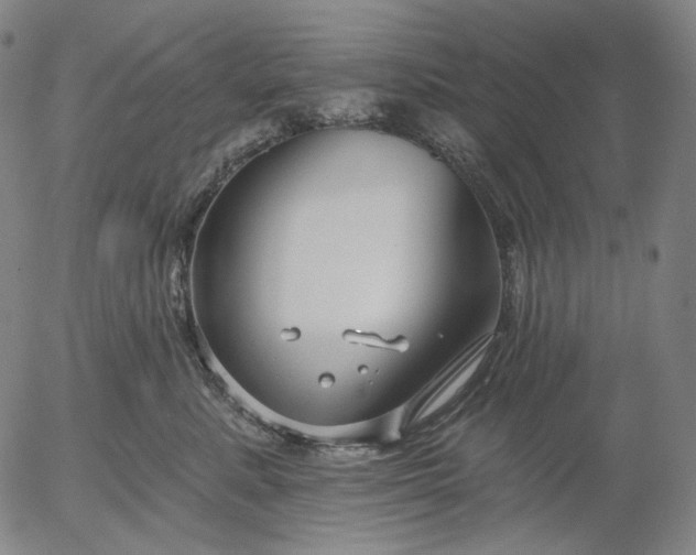 X0000055990619200509021640