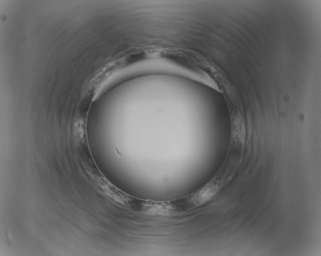 X0000055990621200509021640