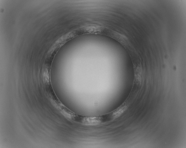 X0000055990622200509021640