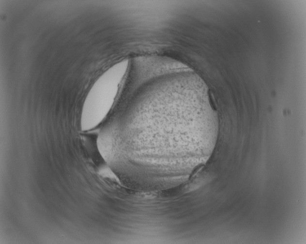 X0000055990624200509021640