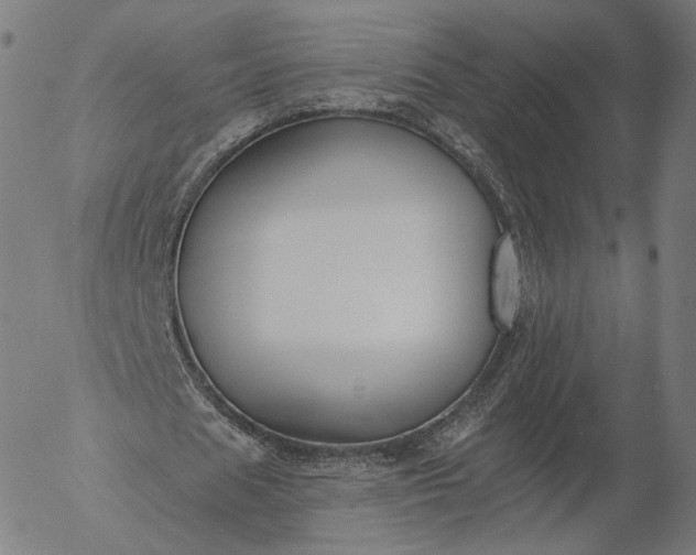 X0000055990625200509021639