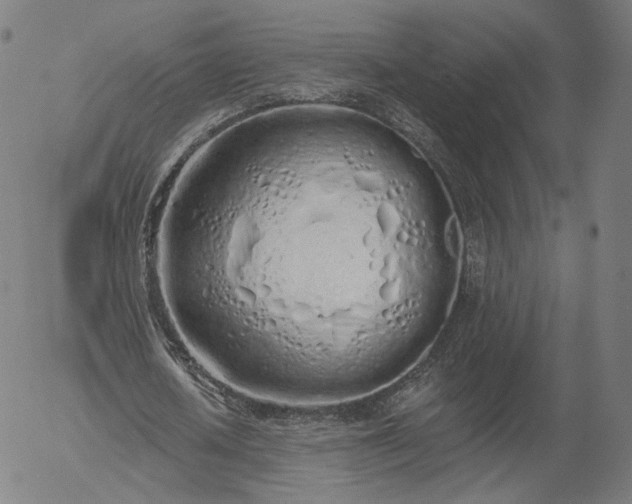 X0000055990626200509021639