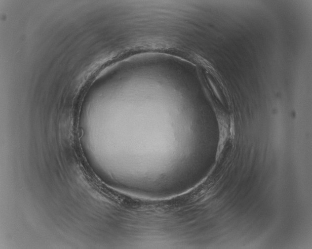 X0000055990627200509021639