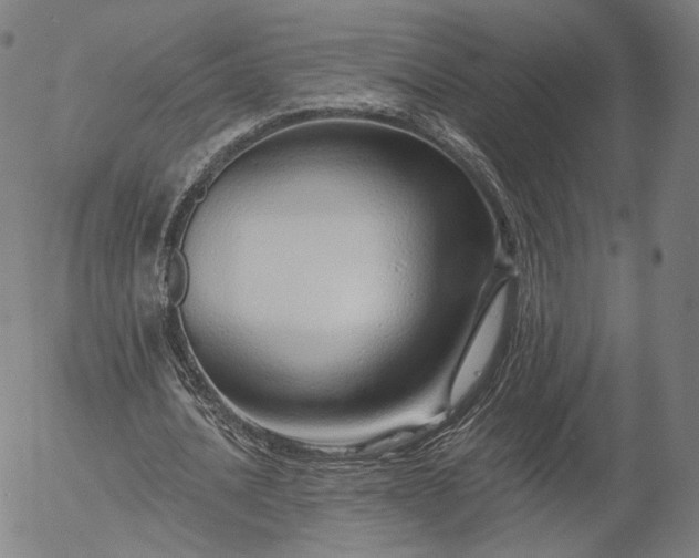 X0000055990628200509021639