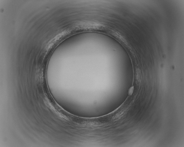 X0000055990629200509021639