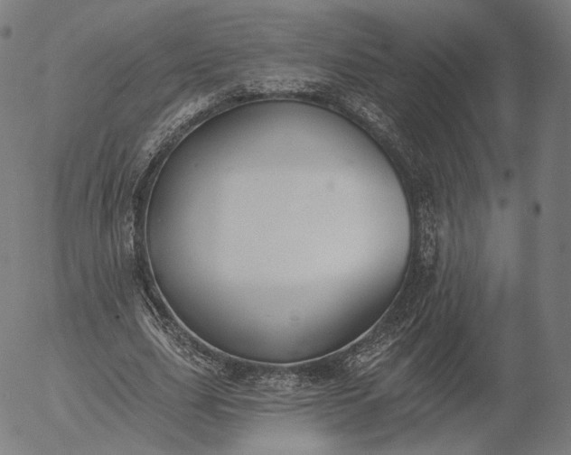 X0000055990631200509021639