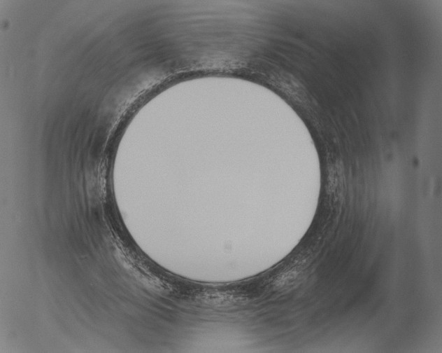 X0000055990632200509021639