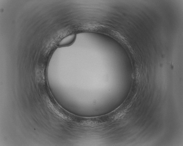 X0000055990633200509021639