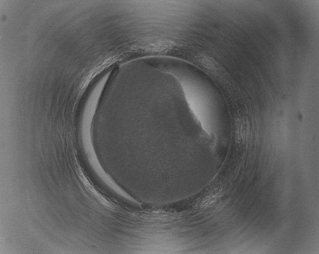 X0000055990634200509021639