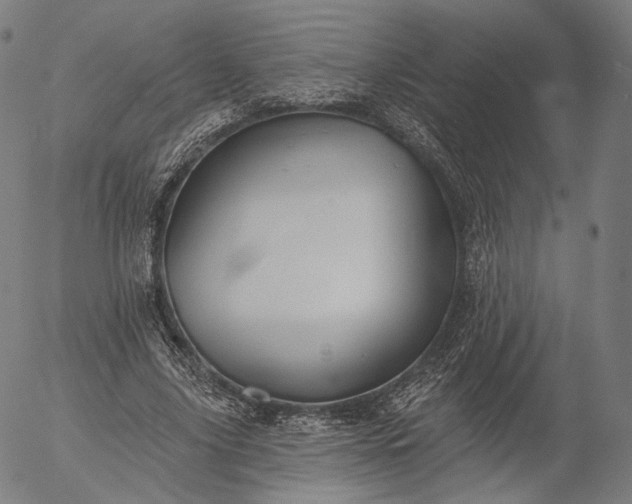 X0000055990635200509021639