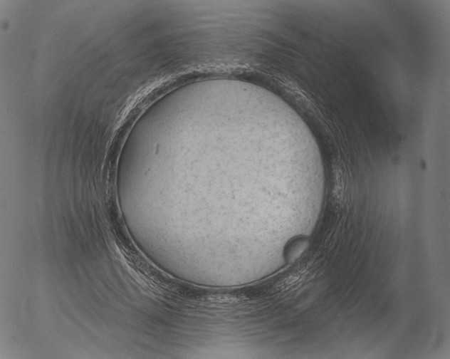 X0000055990636200509021639